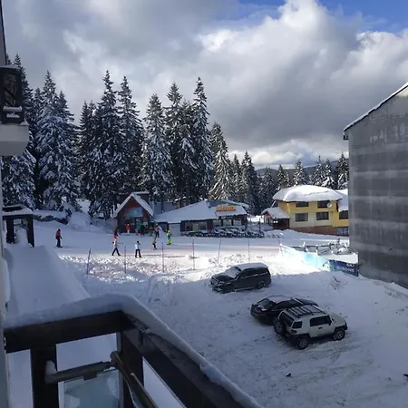 Kristin In Stenata Pamporowo